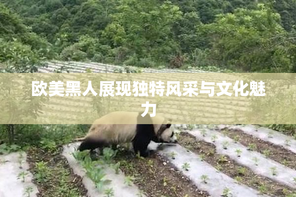 欧美黑人展现独特风采与文化魅力