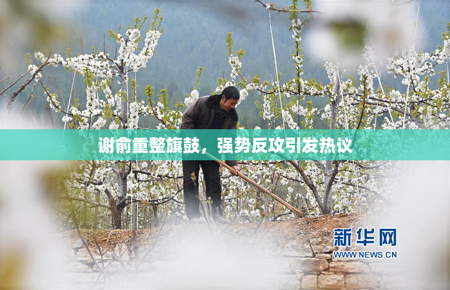 谢俞重整旗鼓，强势反攻引发热议