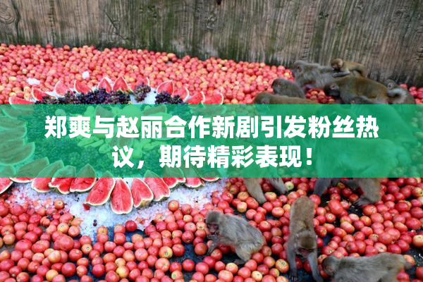 郑爽与赵丽合作新剧引发粉丝热议，期待精彩表现！