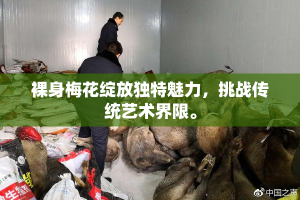 裸身梅花绽放独特魅力，挑战传统艺术界限。