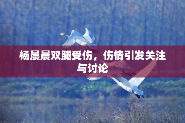 杨晨晨双腿受伤，伤情引发关注与讨论