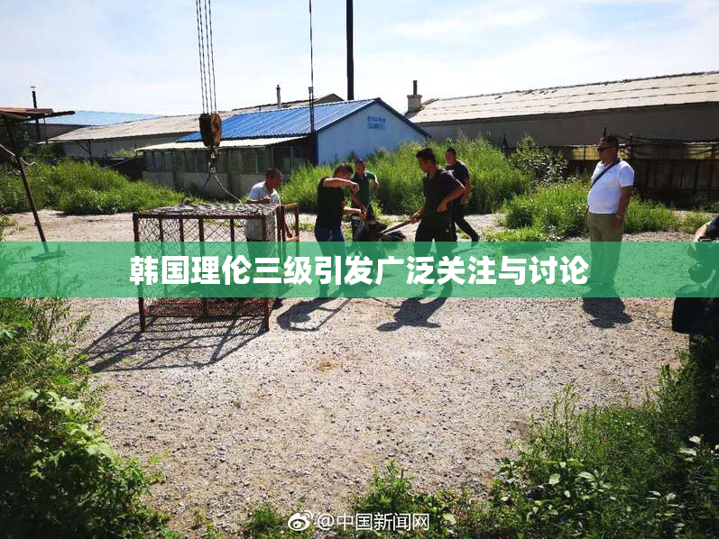 韩国理伦三级引发广泛关注与讨论