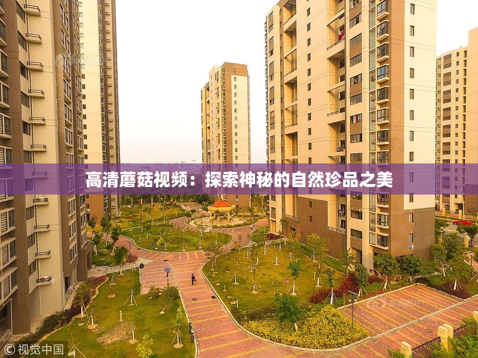 高清蘑菇视频：探索神秘的自然珍品之美