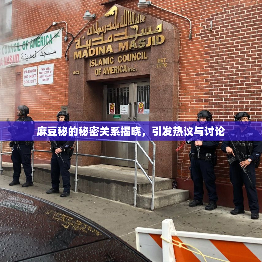 麻豆秘的秘密关系揭晓，引发热议与讨论