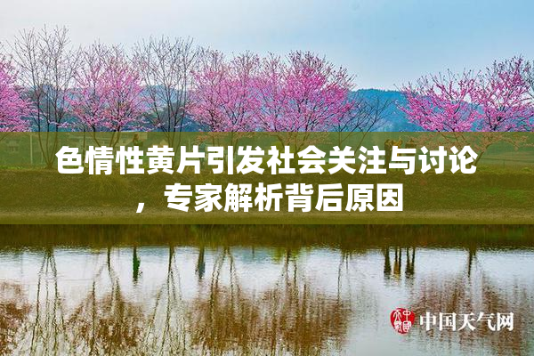 色情性黄片引发社会关注与讨论，专家解析背后原因