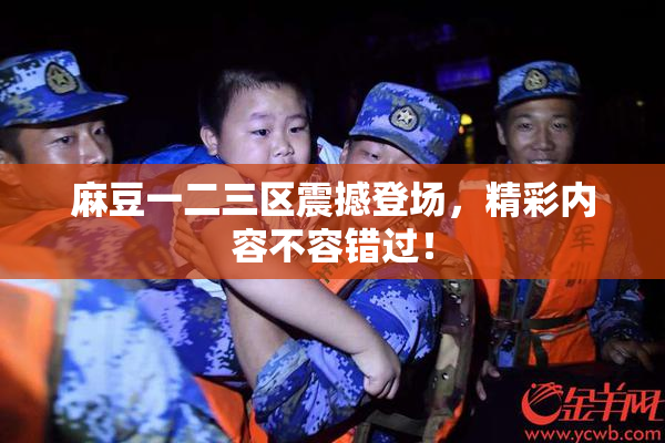 麻豆一二三区震撼登场，精彩内容不容错过！