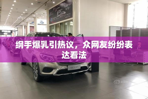 纲手爆乳引热议，众网友纷纷表达看法