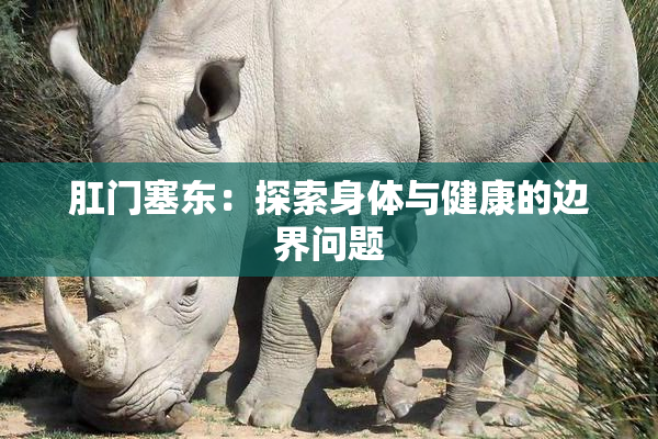 肛门塞东：探索身体与健康的边界问题