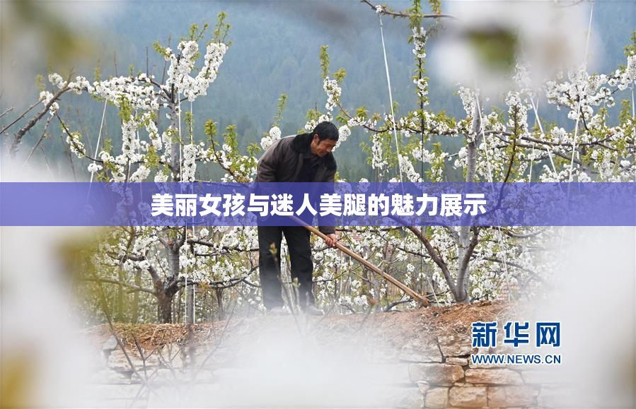 美丽女孩与迷人美腿的魅力展示