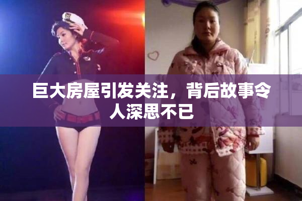 巨大房屋引发关注，背后故事令人深思不已