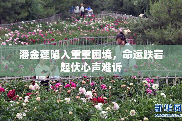 潘金莲陷入重重困境，命运跌宕起伏心声难诉