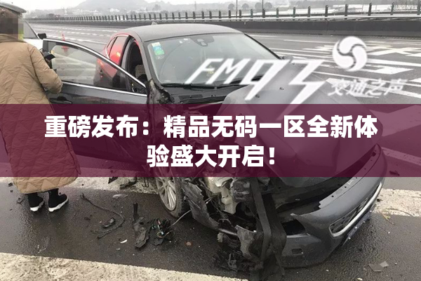 重磅发布：精品无码一区全新体验盛大开启！
