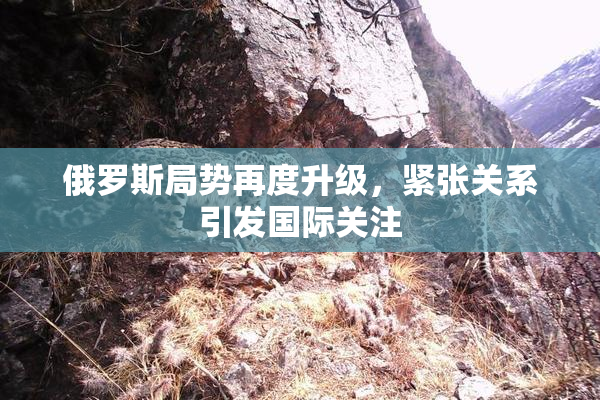 俄罗斯局势再度升级，紧张关系引发国际关注
