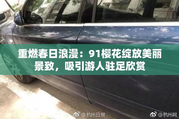 重燃春日浪漫：91樱花绽放美丽景致，吸引游人驻足欣赏