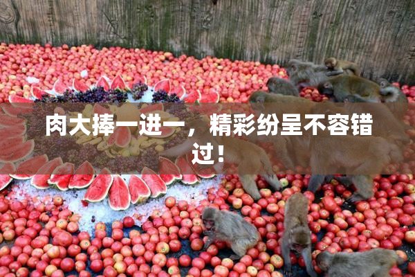 肉大捧一进一，精彩纷呈不容错过！