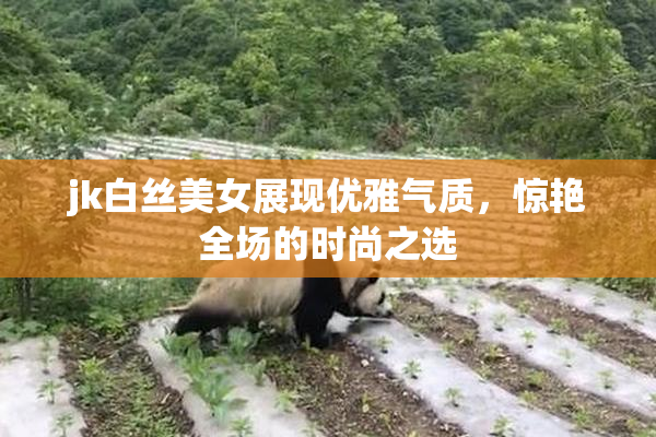 jk白丝美女展现优雅气质，惊艳全场的时尚之选