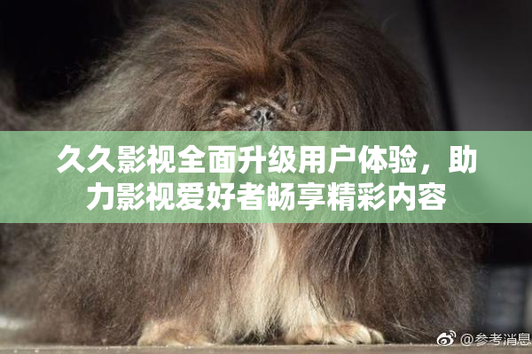 久久影视全面升级用户体验，助力影视爱好者畅享精彩内容