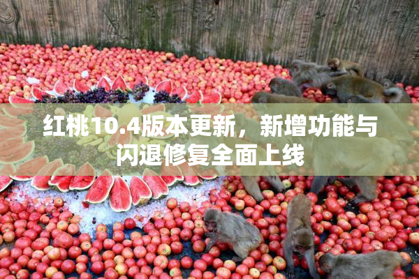 红桃10.4版本更新，新增功能与闪退修复全面上线