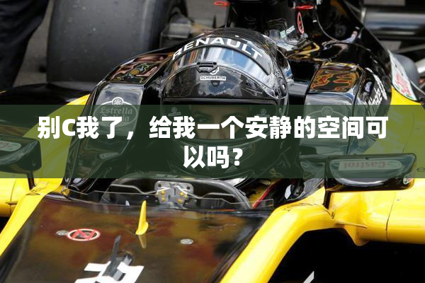 别C我了，给我一个安静的空间可以吗？