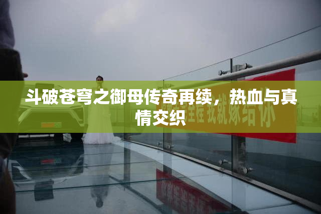 斗破苍穹之御母传奇再续，热血与真情交织