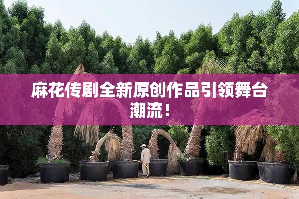 麻花传剧全新原创作品引领舞台潮流！