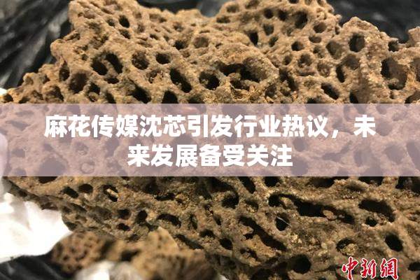 麻花传媒沈芯引发行业热议，未来发展备受关注