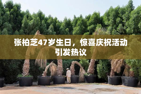 张柏芝47岁生日，惊喜庆祝活动引发热议