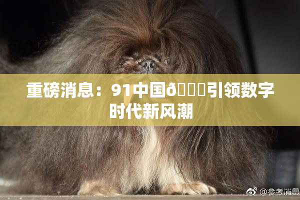 重磅消息：91中国🍆引领数字时代新风潮