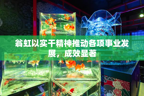 翁虹以实干精神推动各项事业发展，成效显著