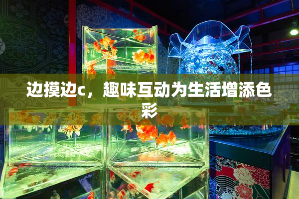 边摸边c，趣味互动为生活增添色彩