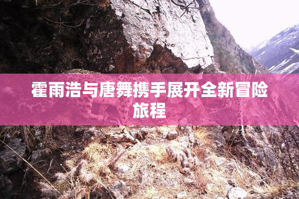 霍雨浩与唐舞携手展开全新冒险旅程