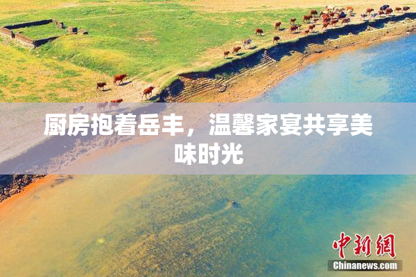 厨房抱着岳丰，温馨家宴共享美味时光