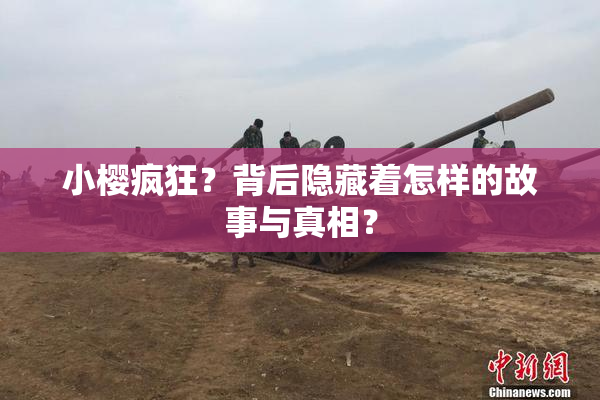 小樱疯狂？背后隐藏着怎样的故事与真相？