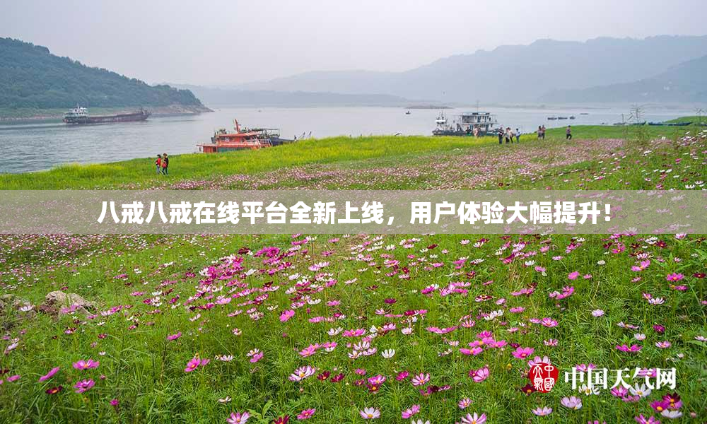 八戒八戒在线平台全新上线，用户体验大幅提升！