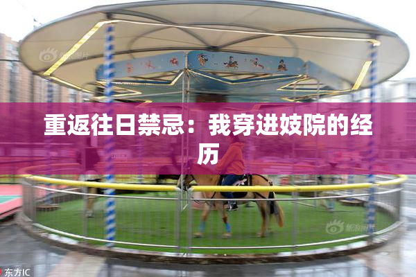重返往日禁忌：我穿进妓院的经历