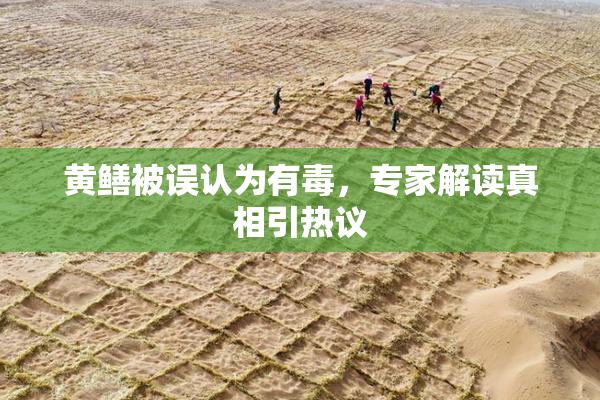 黄鳝被误认为有毒，专家解读真相引热议
