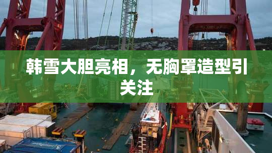韩雪大胆亮相，无胸罩造型引关注