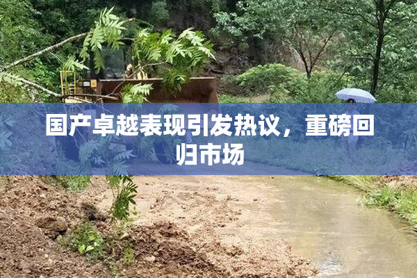 国产卓越表现引发热议，重磅回归市场