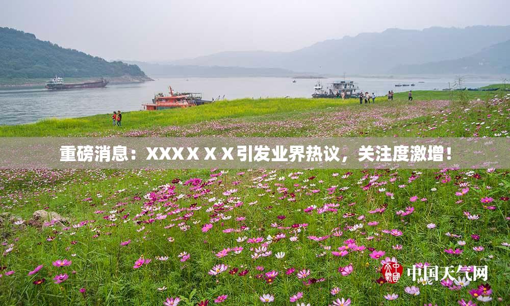 重磅消息：XXXⅩⅩⅩ引发业界热议，关注度激增！