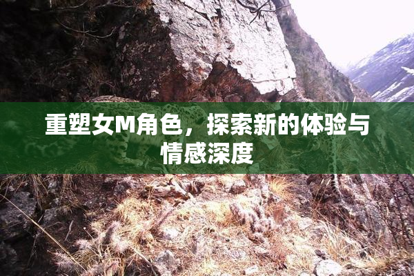 重塑女M角色，探索新的体验与情感深度