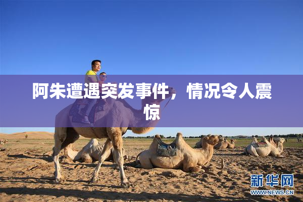 阿朱遭遇突发事件，情况令人震惊