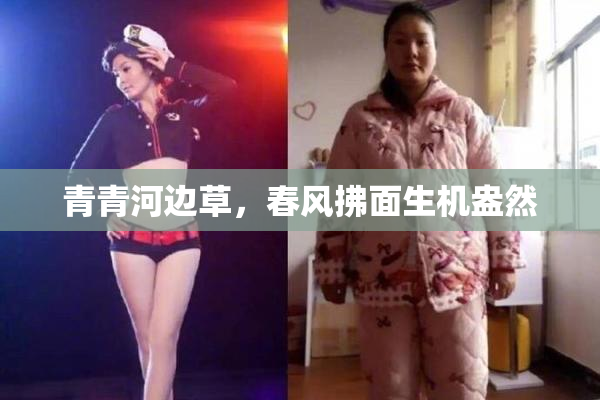 青青河边草，春风拂面生机盎然