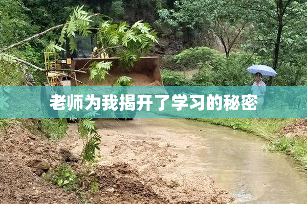 老师为我揭开了学习的秘密