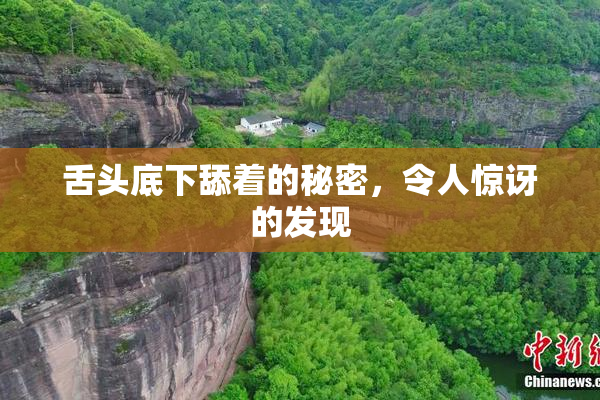 舌头底下舔着的秘密，令人惊讶的发现