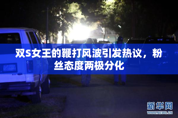 双S女王的鞭打风波引发热议，粉丝态度两极分化