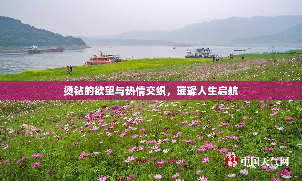 烫钻的欲望与热情交织，璀璨人生启航