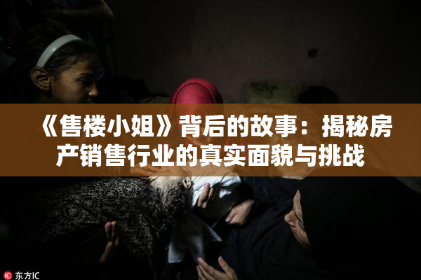 《售楼小姐》背后的故事：揭秘房产销售行业的真实面貌与挑战