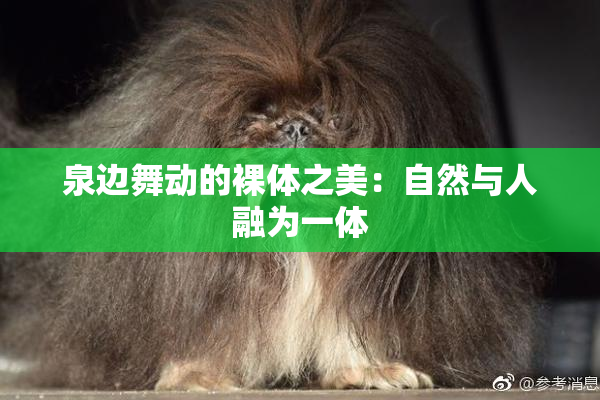 泉边舞动的裸体之美：自然与人融为一体