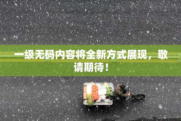 一级无码内容将全新方式展现，敬请期待！