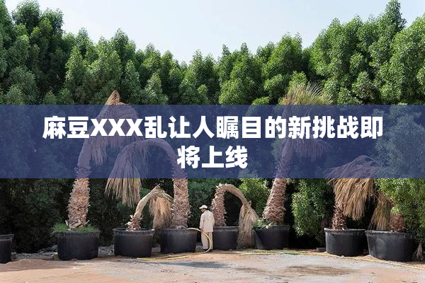 麻豆XXX乱让人瞩目的新挑战即将上线